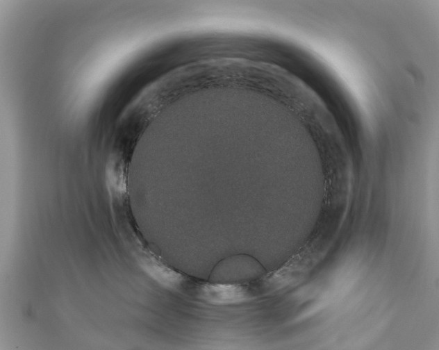 X0000110960431200906261345