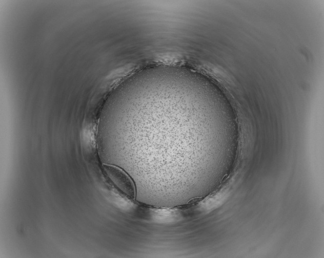 X0000110960432200906261345