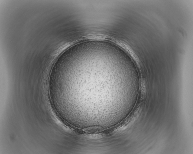 X0000110960433200906261345