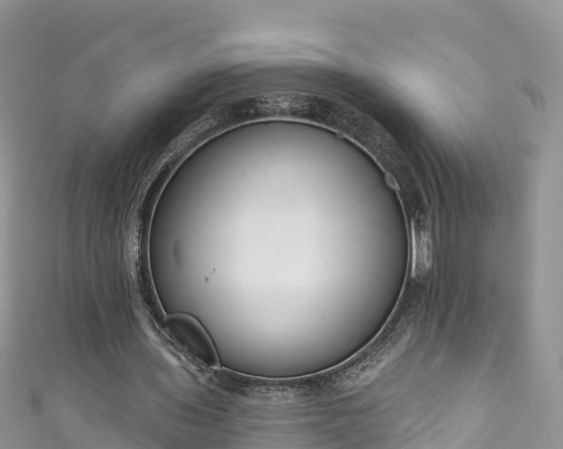 X0000110960435200906261345