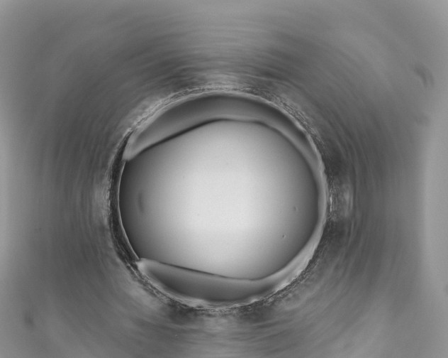 X0000110960436200906261345