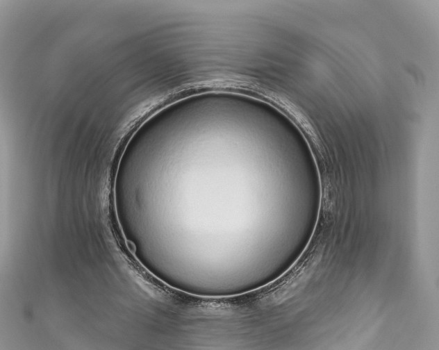 X0000110960437200906261345