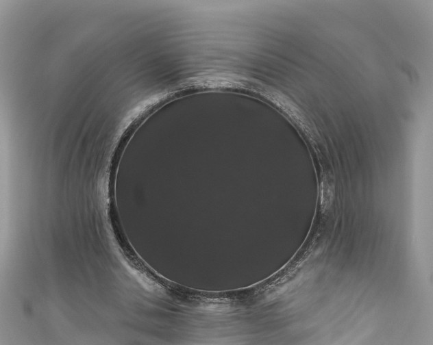 X0000110960438200906261345