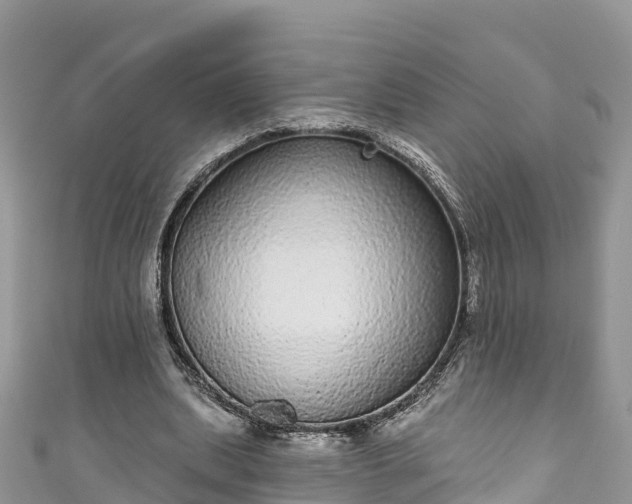 X0000110960439200906261345