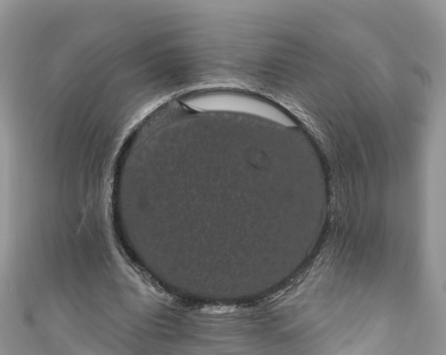 X0000110960440200906261345