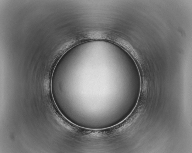 X0000110960441200906261345