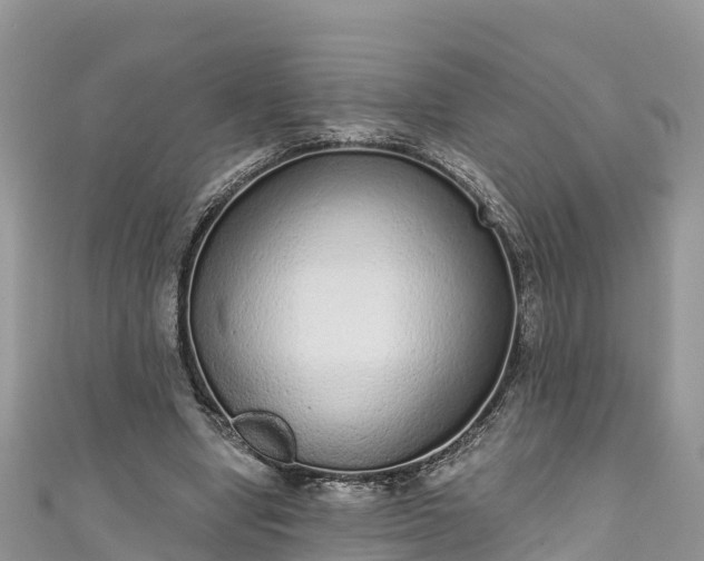 X0000110960442200906261345