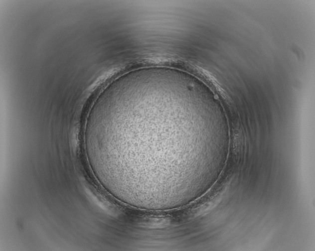 X0000110960443200906261345