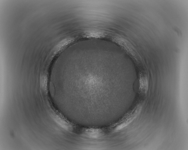 X0000110960444200906261345