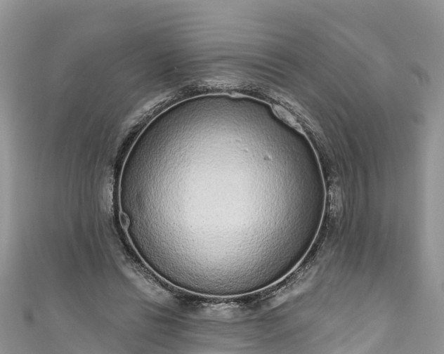 X0000110960446200906261345