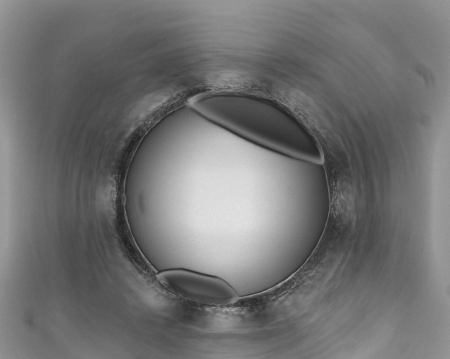 X0000110960448200906261345