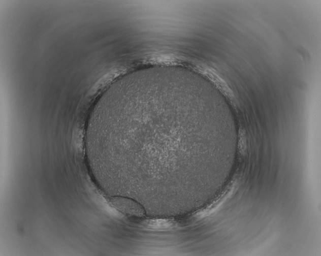 X0000110960449200906261345