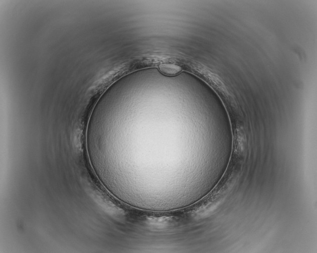 X0000110960450200906261345