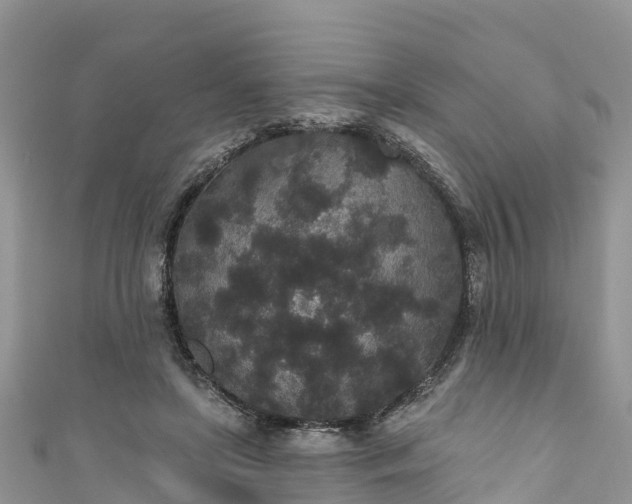 X0000110960451200906261345