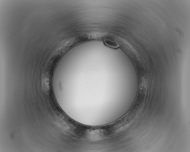 X0000110960452200906261345