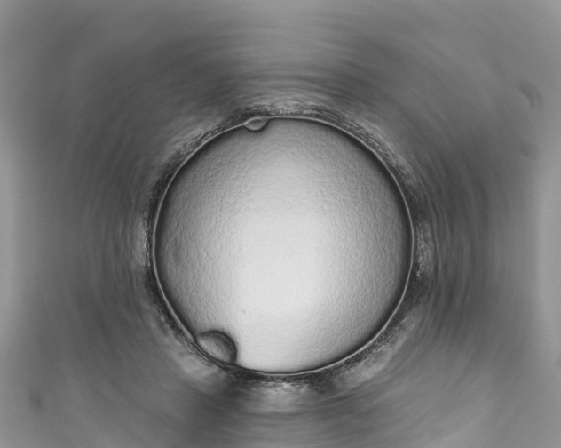 X0000110960453200906261345