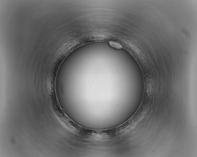 X0000110960455200906261345