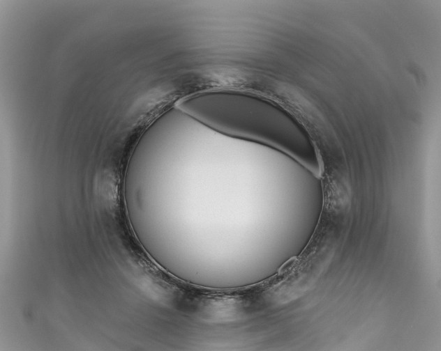 X0000110960456200906261345