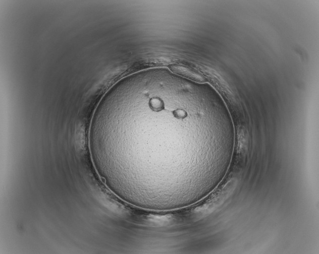 X0000110960457200906261345