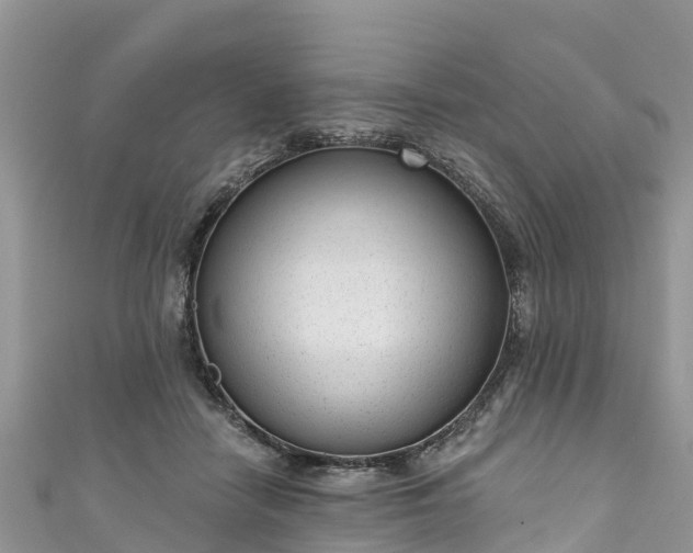 X0000110960458200906261345