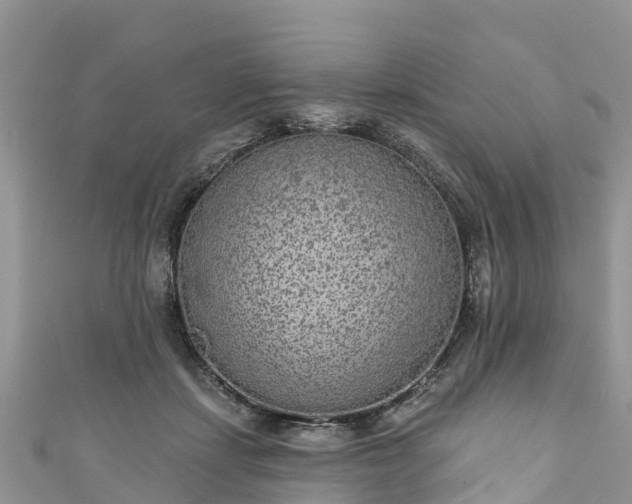 X0000110960459200906261345