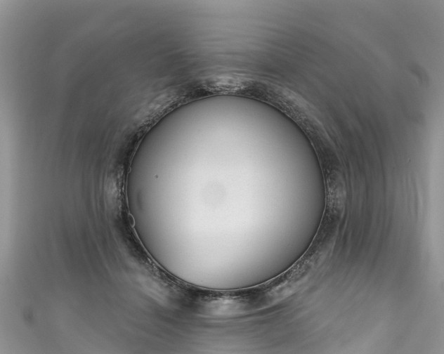 X0000110960460200906261345