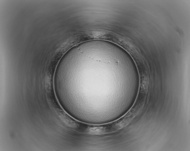 X0000110960461200906261345