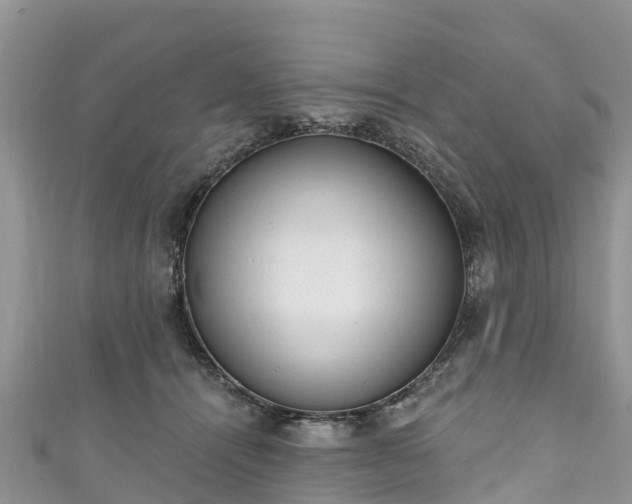 X0000110960464200906261345