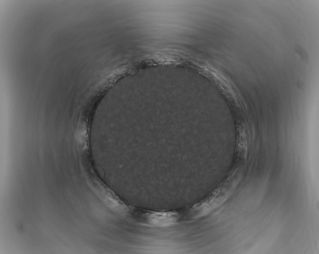 X0000110960465200906261345