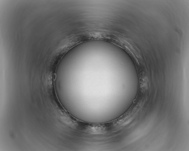 X0000110960466200906261345