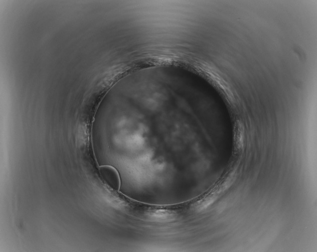 X0000110960467200906261345