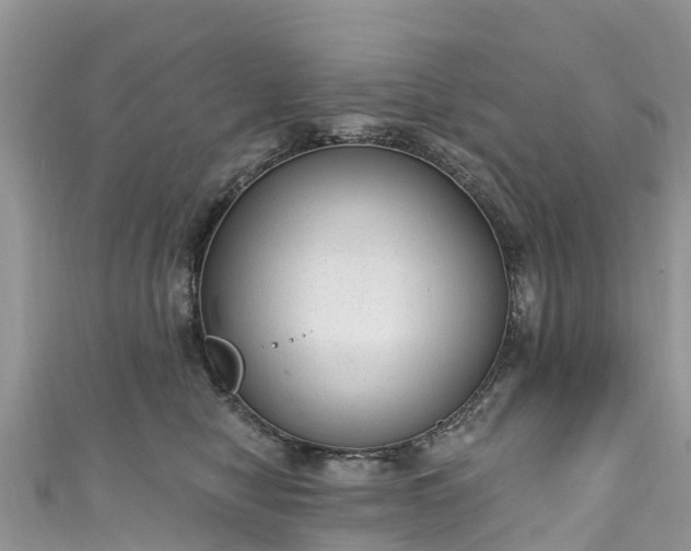 X0000110960470200906261345