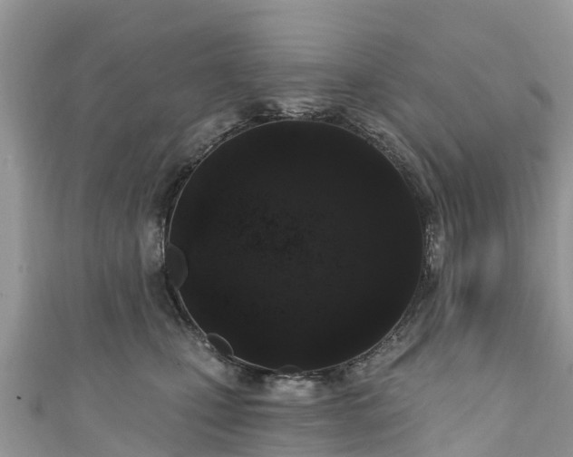 X0000110960471200906261345