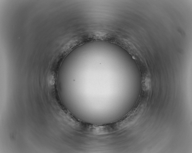 X0000110960472200906261345