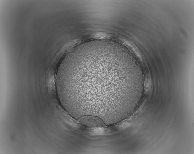 X0000110960473200906261345