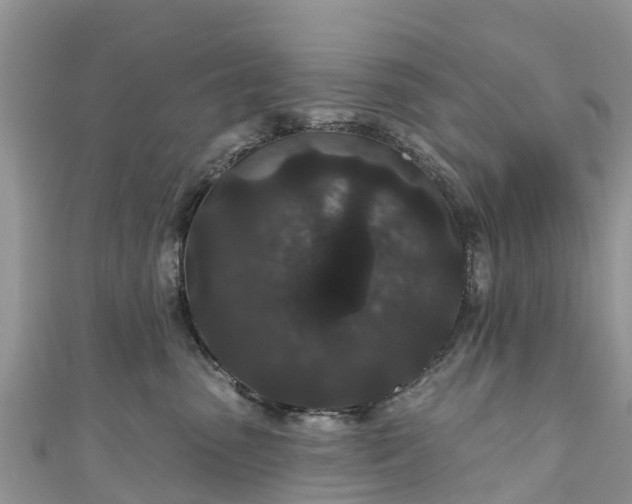 X0000110960475200906261345