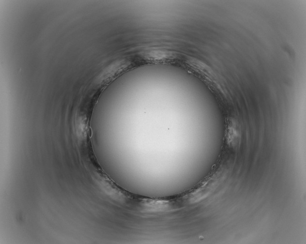 X0000110960476200906261345