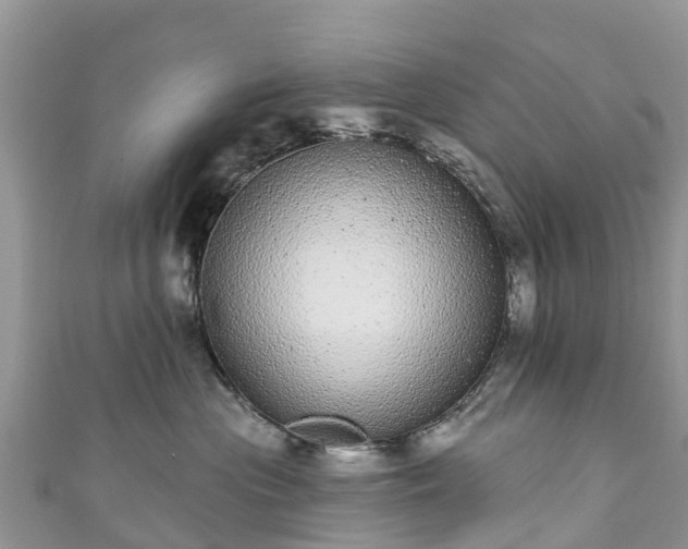 X0000110960477200906261345