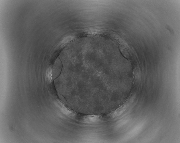 X0000110960479200906261345