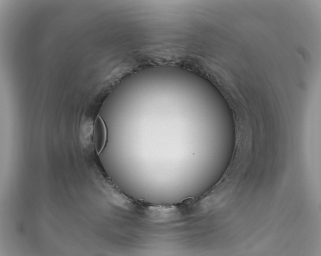 X0000110960480200906261345