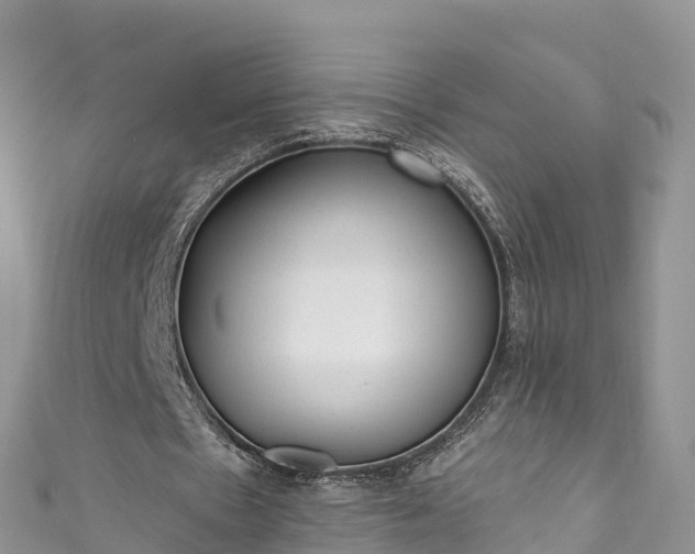 X0000110960481200906261345