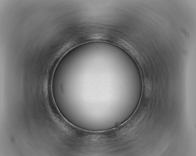 X0000110960482200906261345