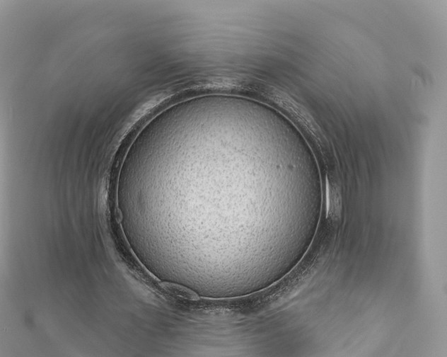 X0000110960483200906261345