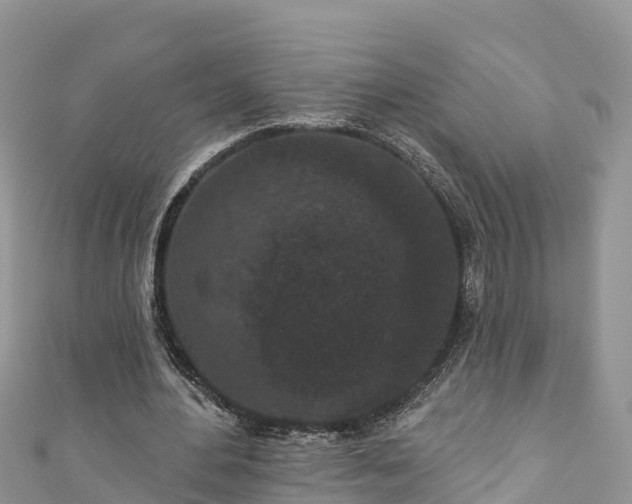 X0000110960484200906261345