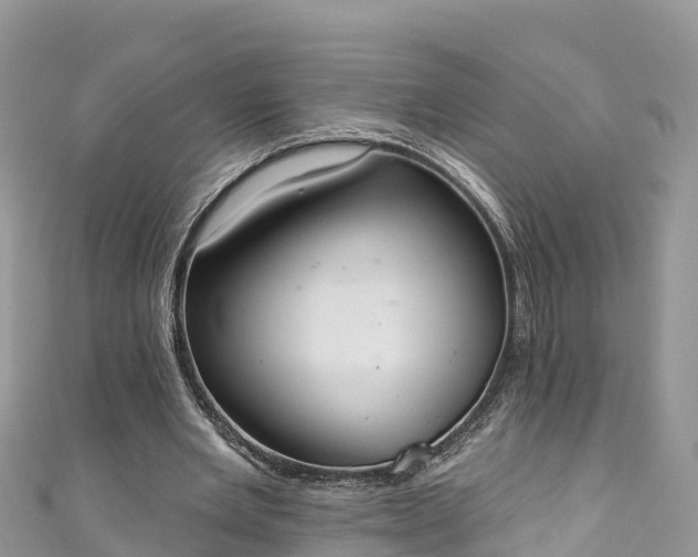 X0000110960485200906261345