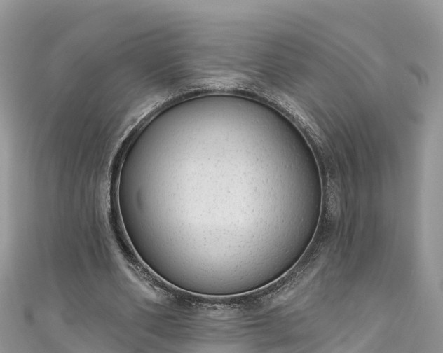 X0000110960486200906261345