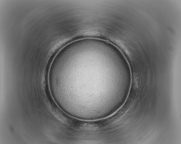 X0000110960487200906261345