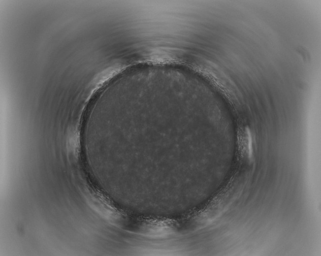 X0000110960488200906261345