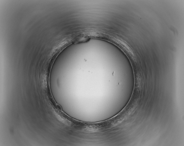 X0000110960489200906261345