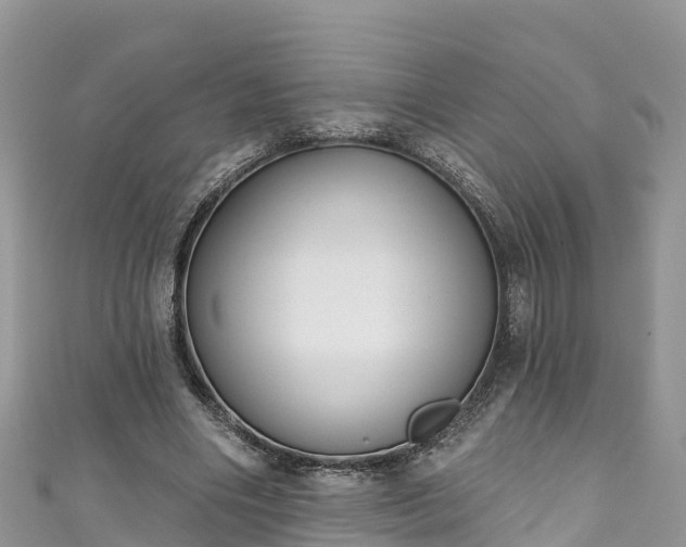 X0000110960490200906261344